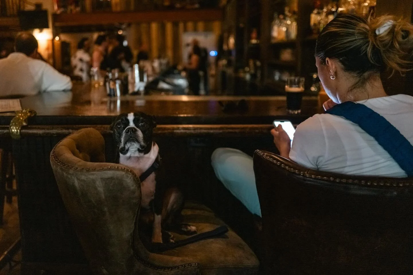 How we connect.
In a place where many feel lonely and conversations don&rsquo;t come easily anymore, dogs often do the connecting for us.

This is my view of everyday life in the United States for @around_the_world_2026 &mdash; an international colla