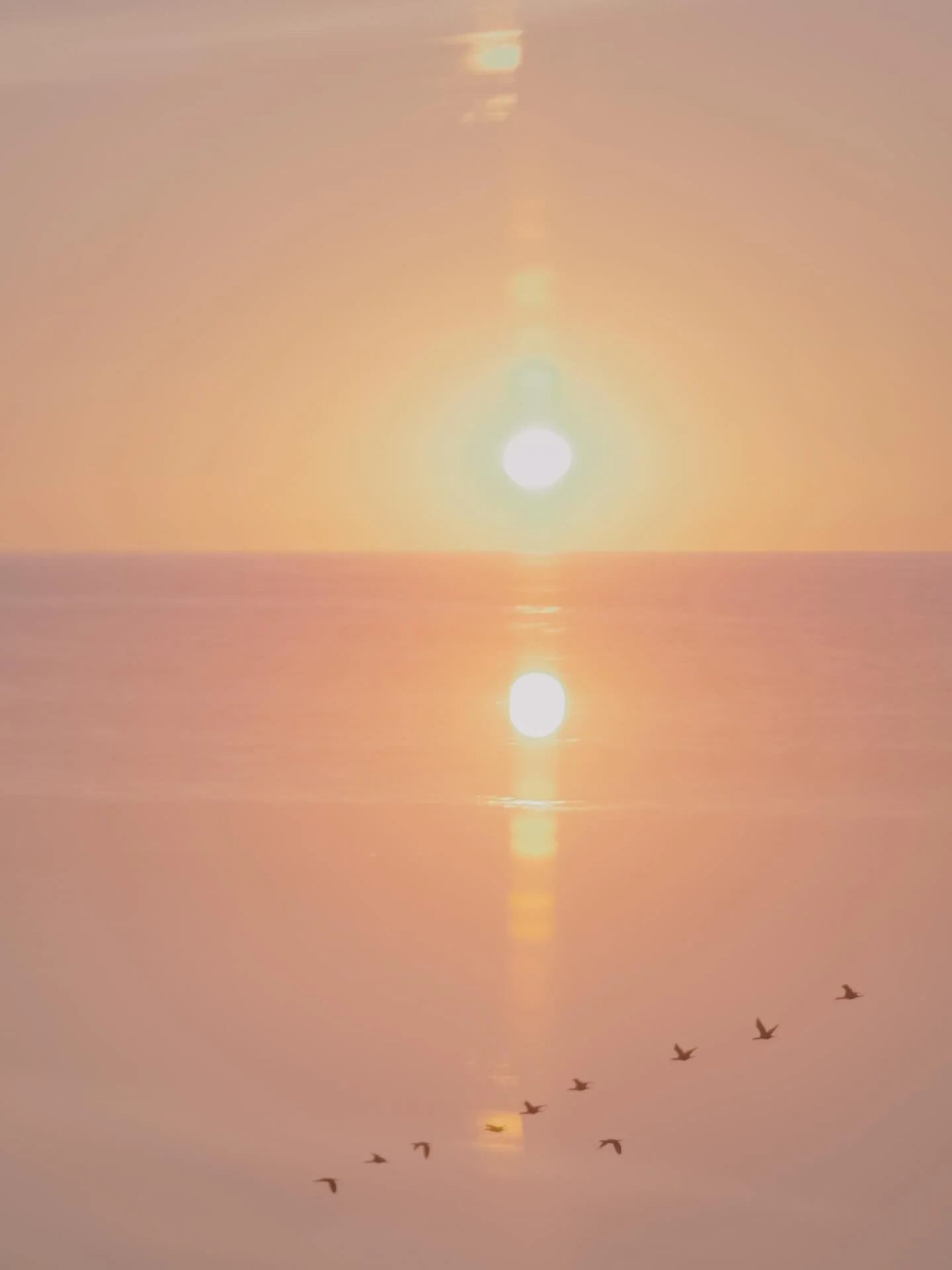 Chasing the last light and letting the frames merge. Creative play for movement, freedom, and a little bit of magic.

Fused Fridays
We are a group of artists who are experimenting with creating double exposures, fusing, blending and bringing a little