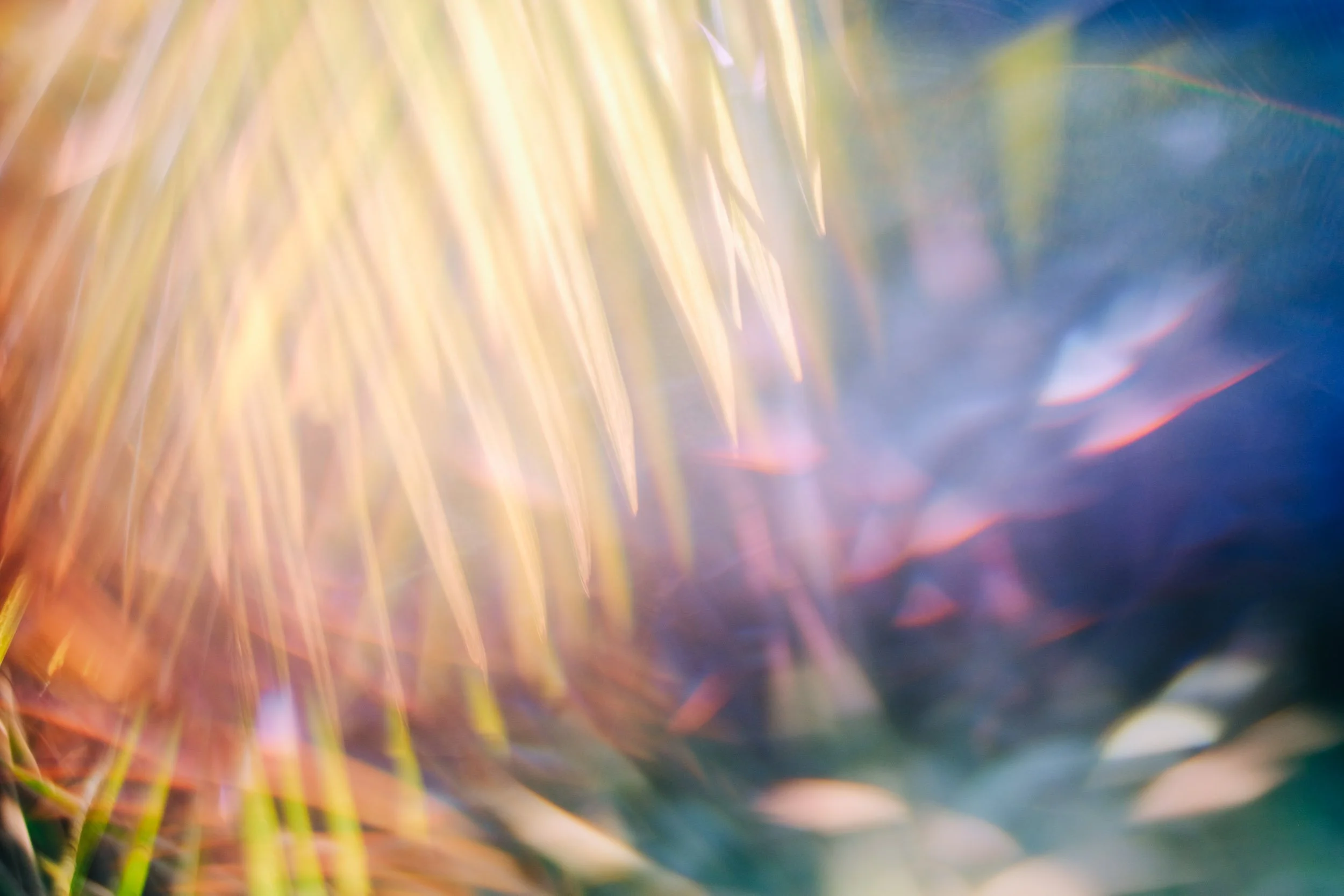 Finding Your Voice in Photography: When Doubt Holds You Back
