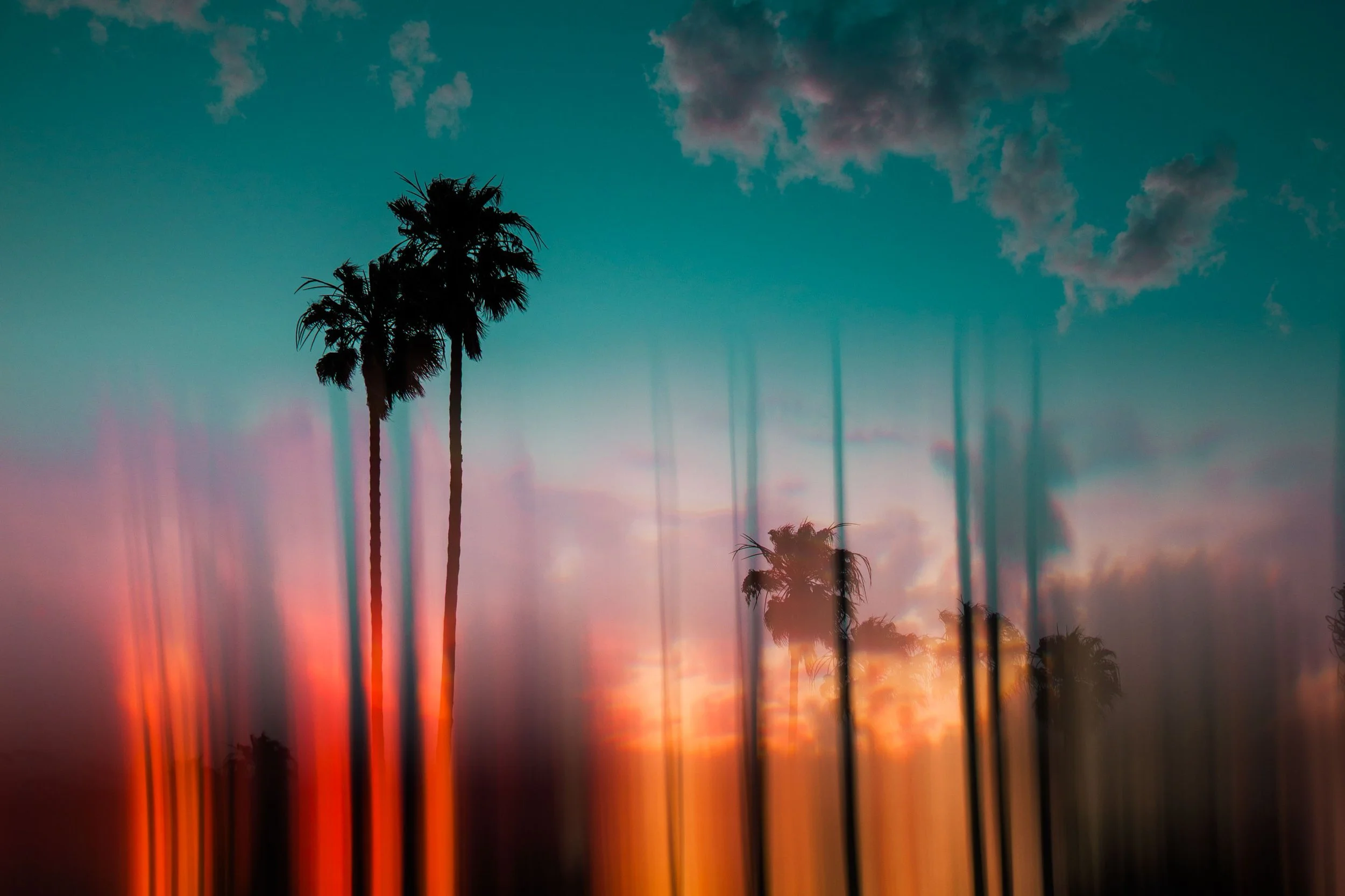 ute-reckhorn-palm-sunset-los-angeles-fine-art.jpg