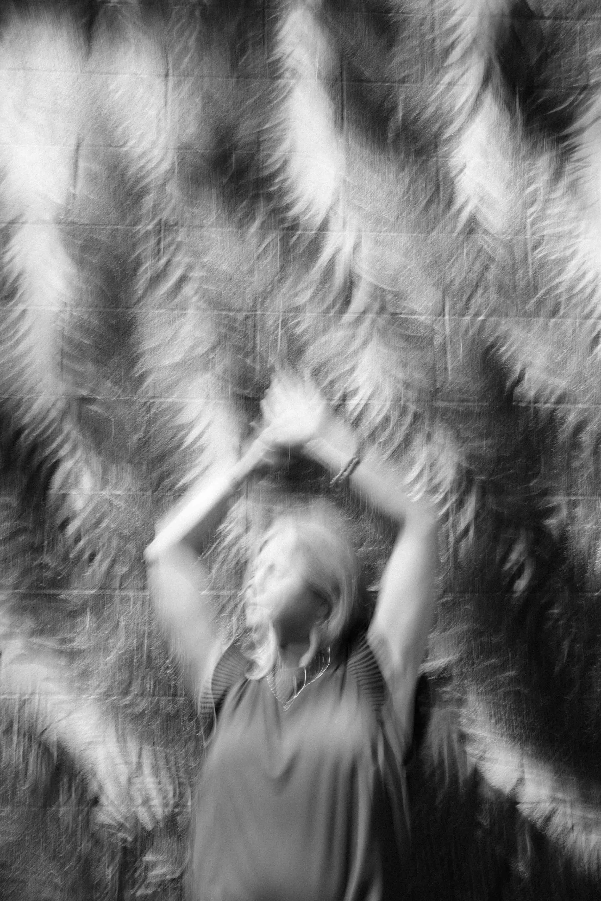 ute-reckhorn-palm-tree-shadow-black-white-photo.jpg
