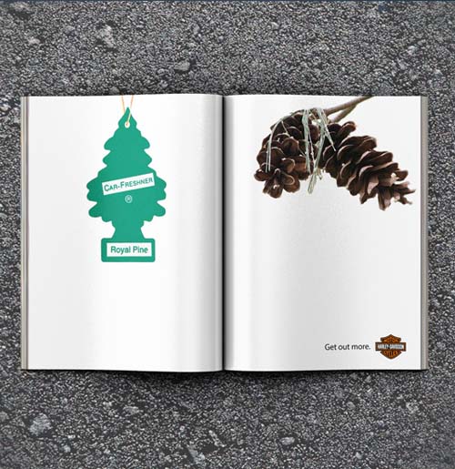 harley-magazine-pine.jpg