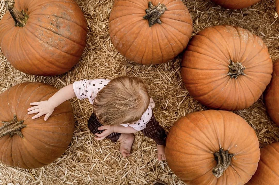 My photo entitled "Pumpkins" was excepted into the PrintSwap on June 29th 2017 International photographers of all backgrounds are invited to participate in The Print Swap , a project of Feature Shoot . Primarily run on Instagram, The Print Swap is an opportunity for photographers to collect amazing photography and engage with other photographers around the globe. Photographers who are selected will both give and receive a print.