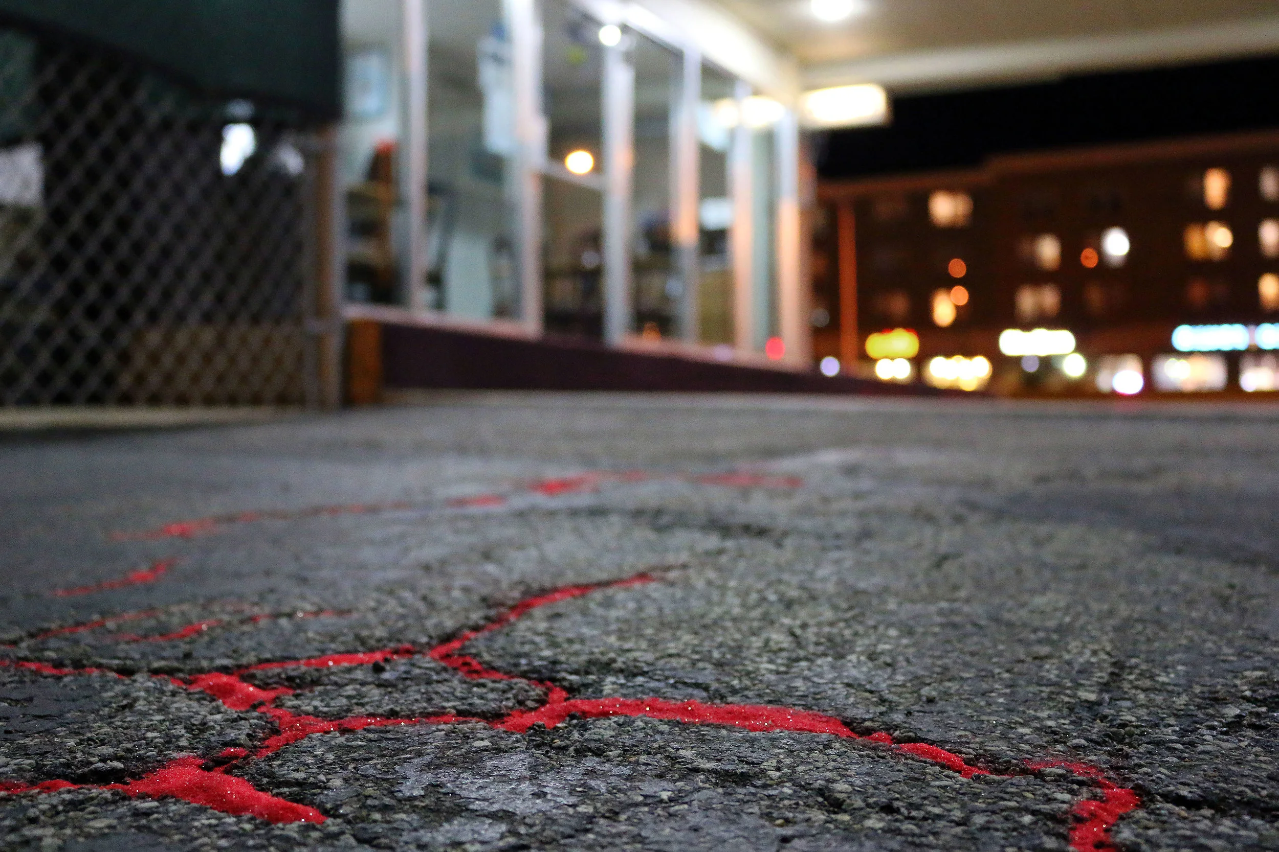Red Sand Project exhibition