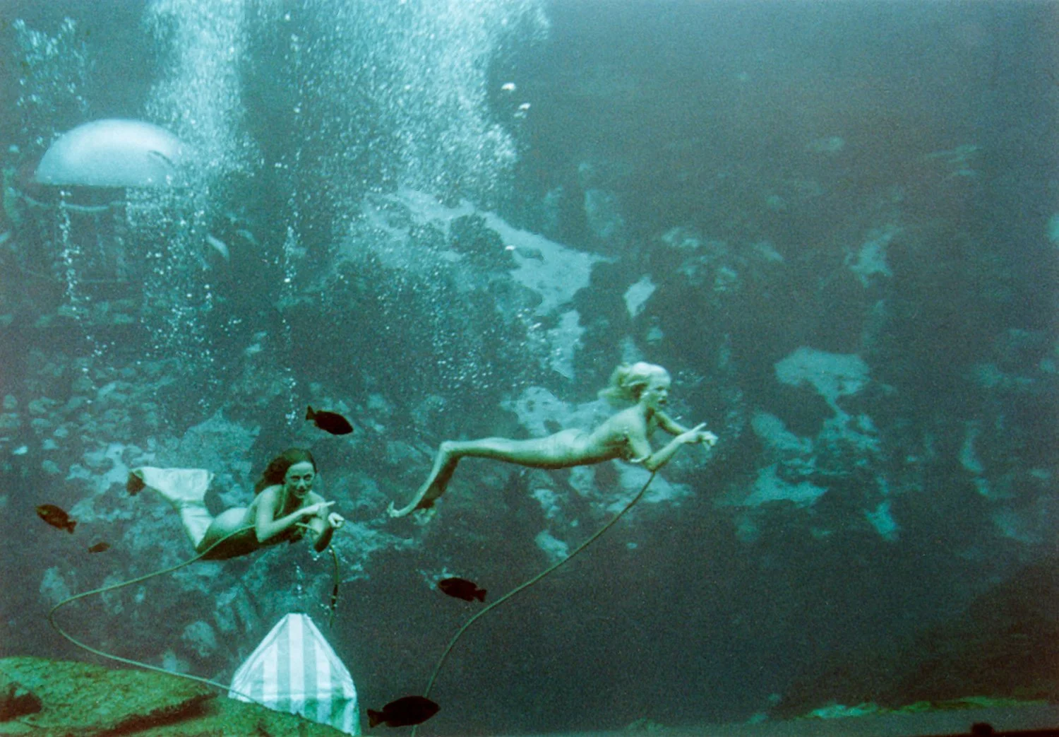 "What Did the Deep Sea Say?" What Did the Deep Sea Say: A Conversation with Sara Macel &amp; Veronica Murphy