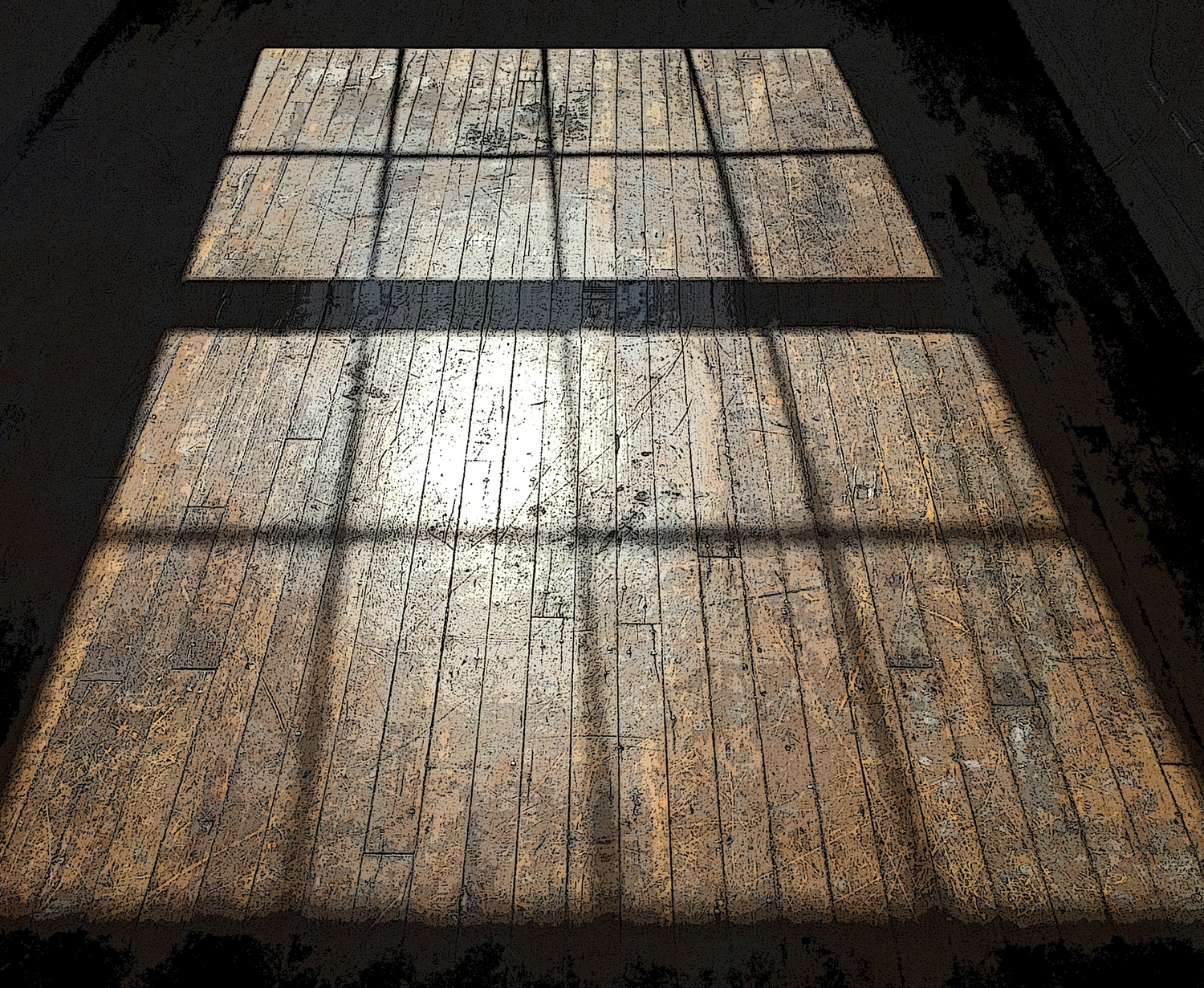 the window project