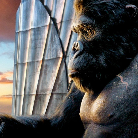 king-kong_test2-small-01.jpg