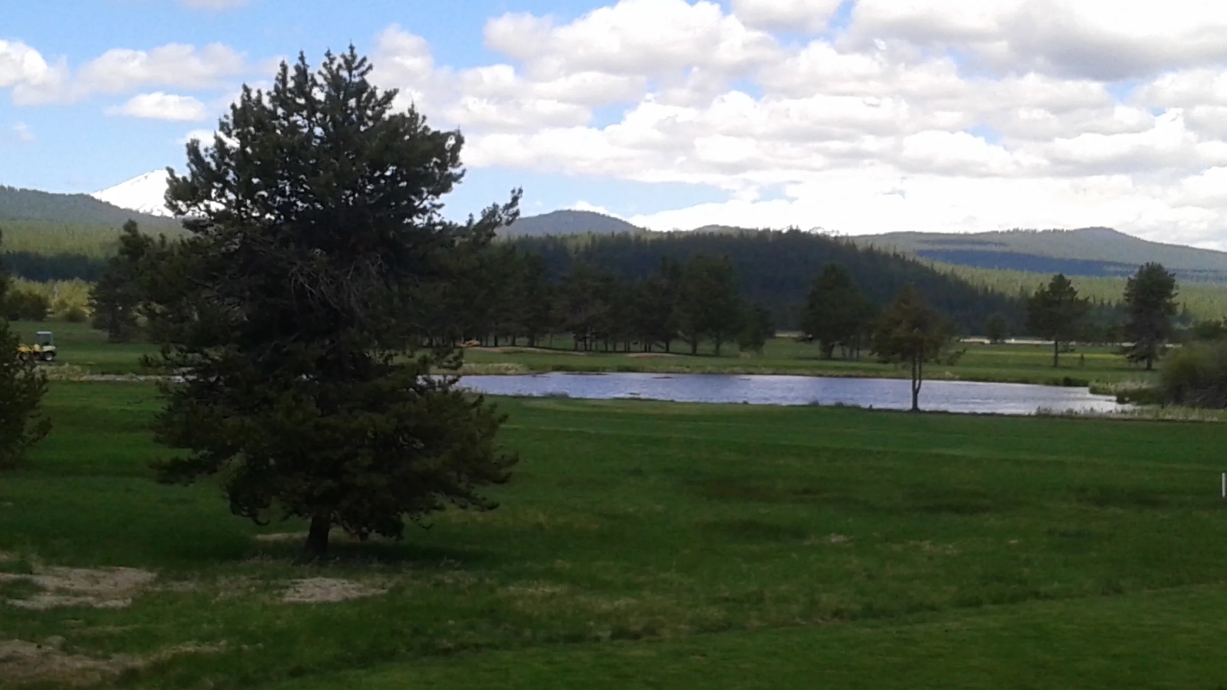 From my room at Sunriver Lodge (golf course had been shut down for repairs, I saw a barn owl and a porcupine on the paths around the course over the week I was there). 