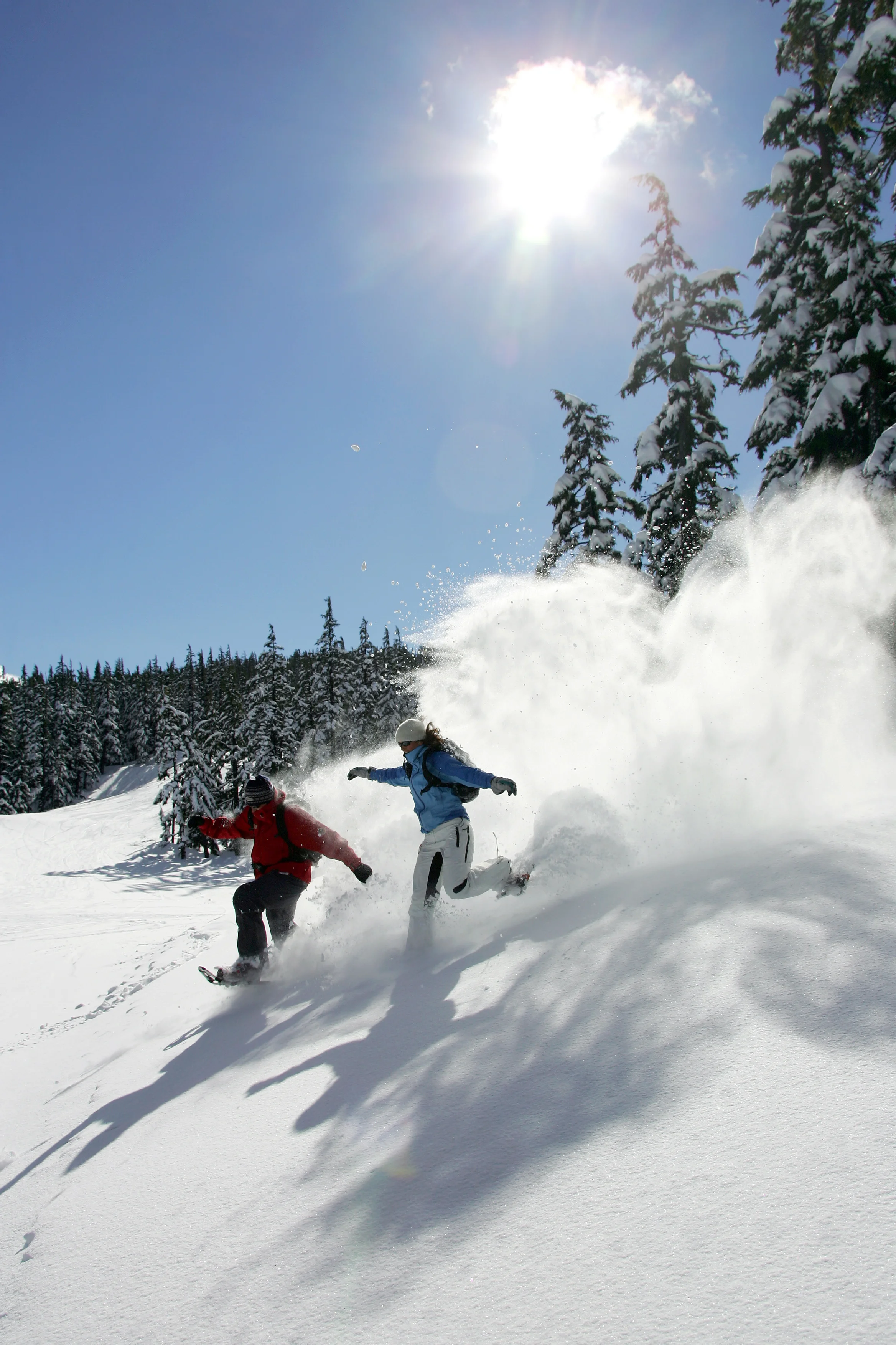 Snowshoe Mt. Bachelor!