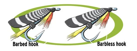 Photos Courtesy of Boy's Life Magazine