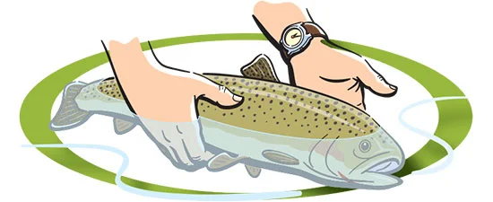 Catch-and-Release