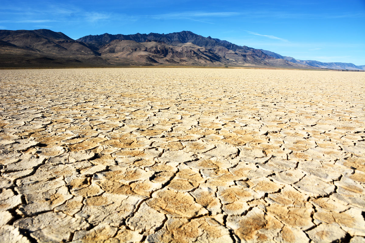 Marvel at the vastness of the Alvord Desert.