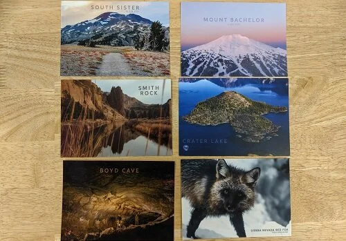 500x 350 Local Postcards.jpg