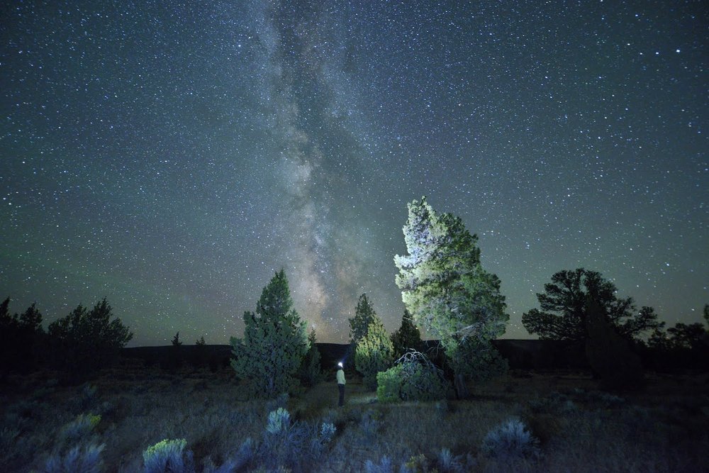  Woman with headlamp standing in Juniper Desert, Badlands Wilderness, East of the city of Bend, Deschutes County,Central Oregon, USA 