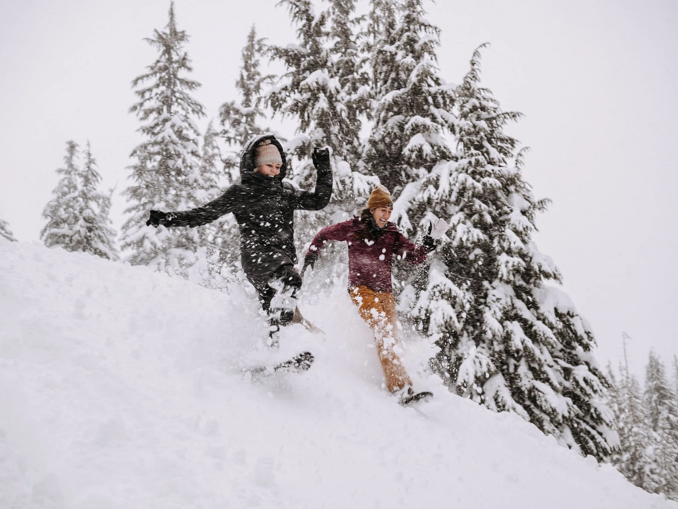 Daytime Snowshoe Adventures