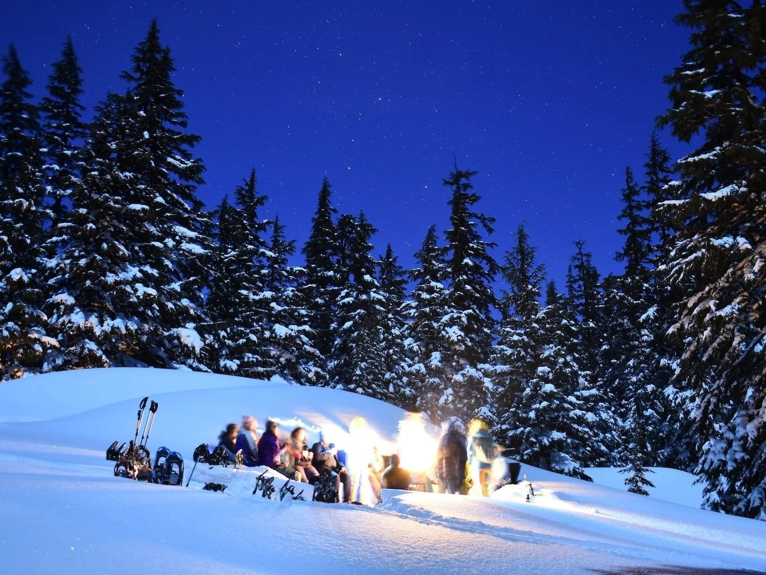 Bonfire Snowshoe Tours