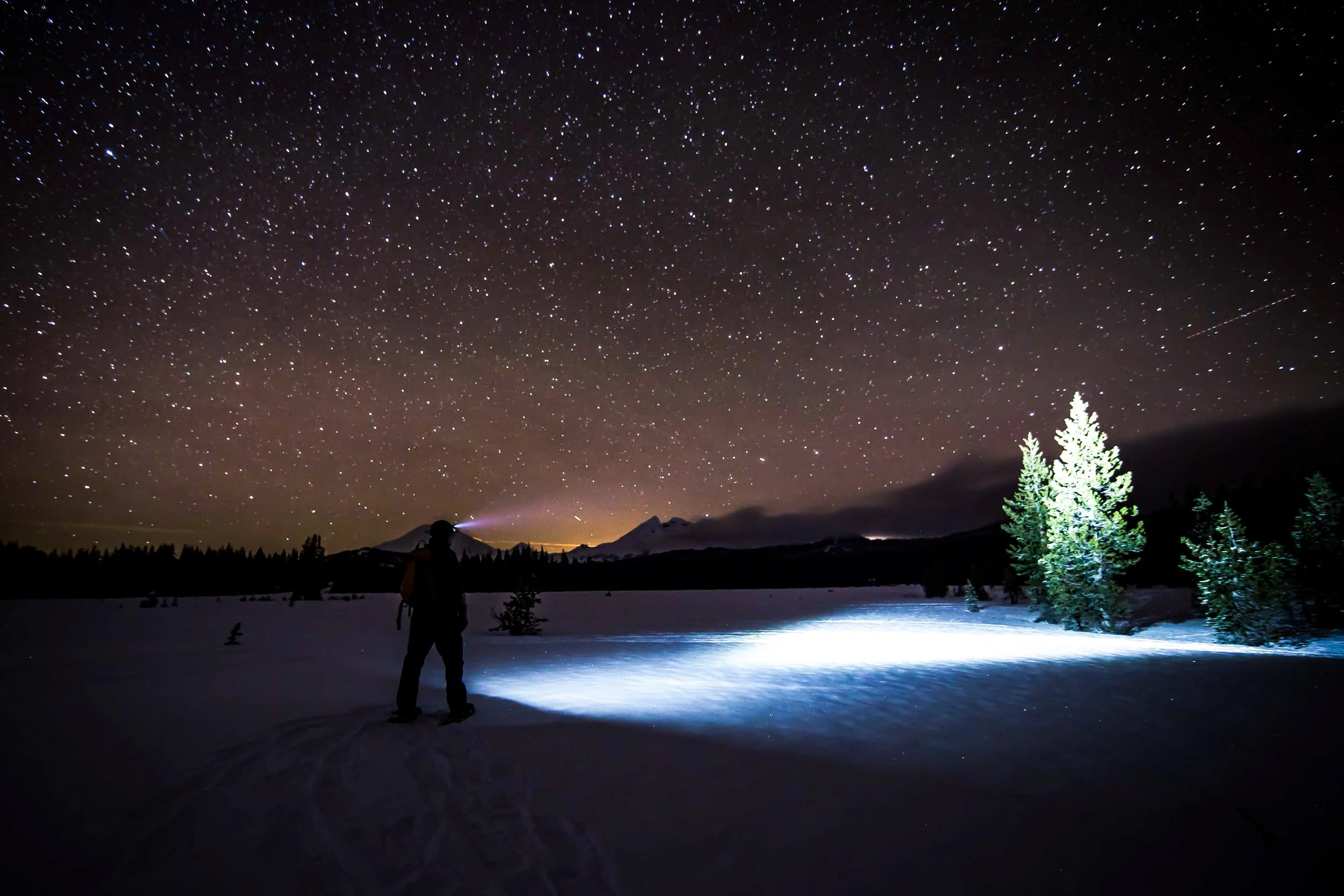 Starlight & Moonlight Snowshoe Tours