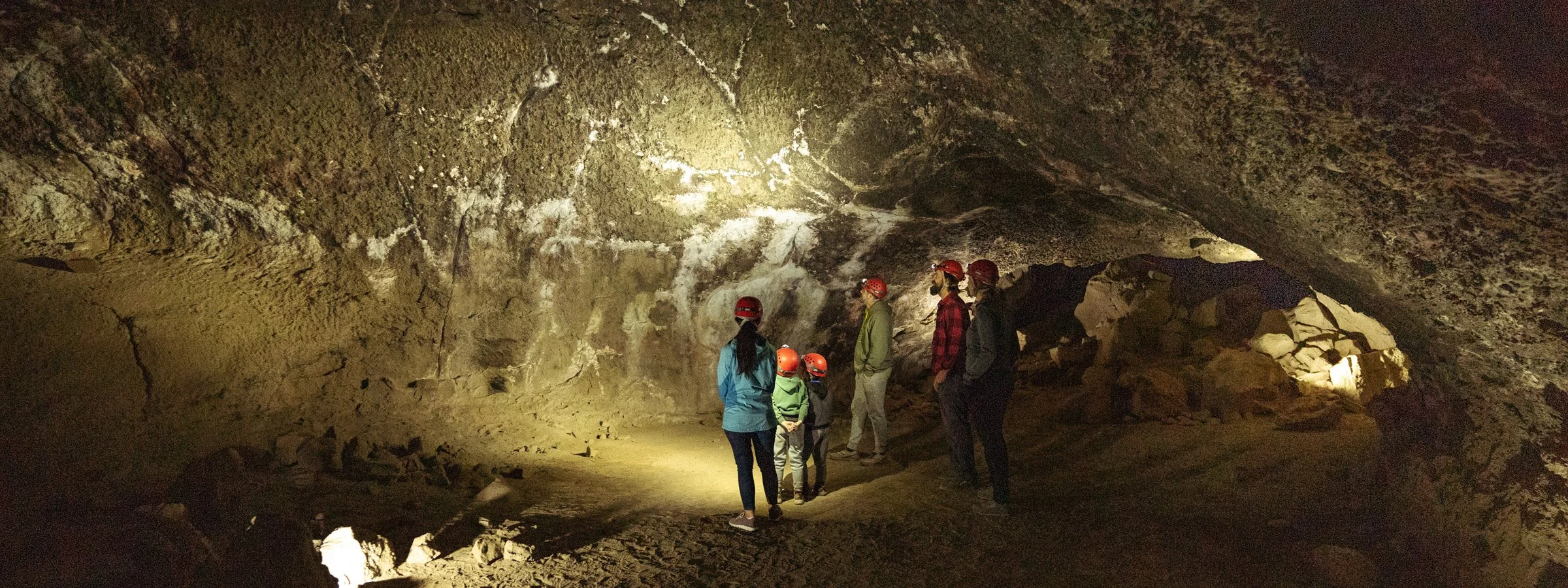 WT_Skel_Reedit-13 (3).jpg