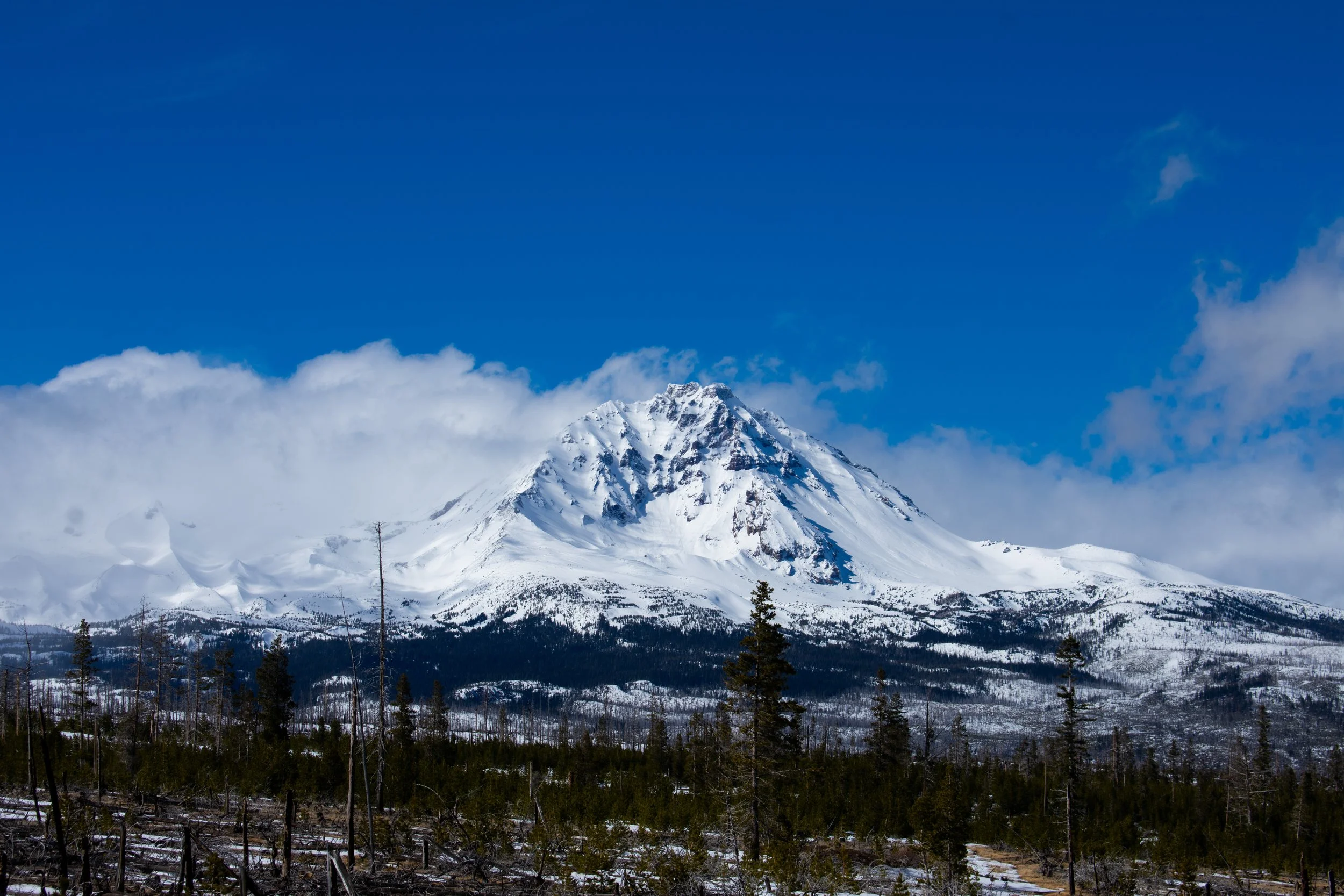 DSC_0148 (1).jpg
