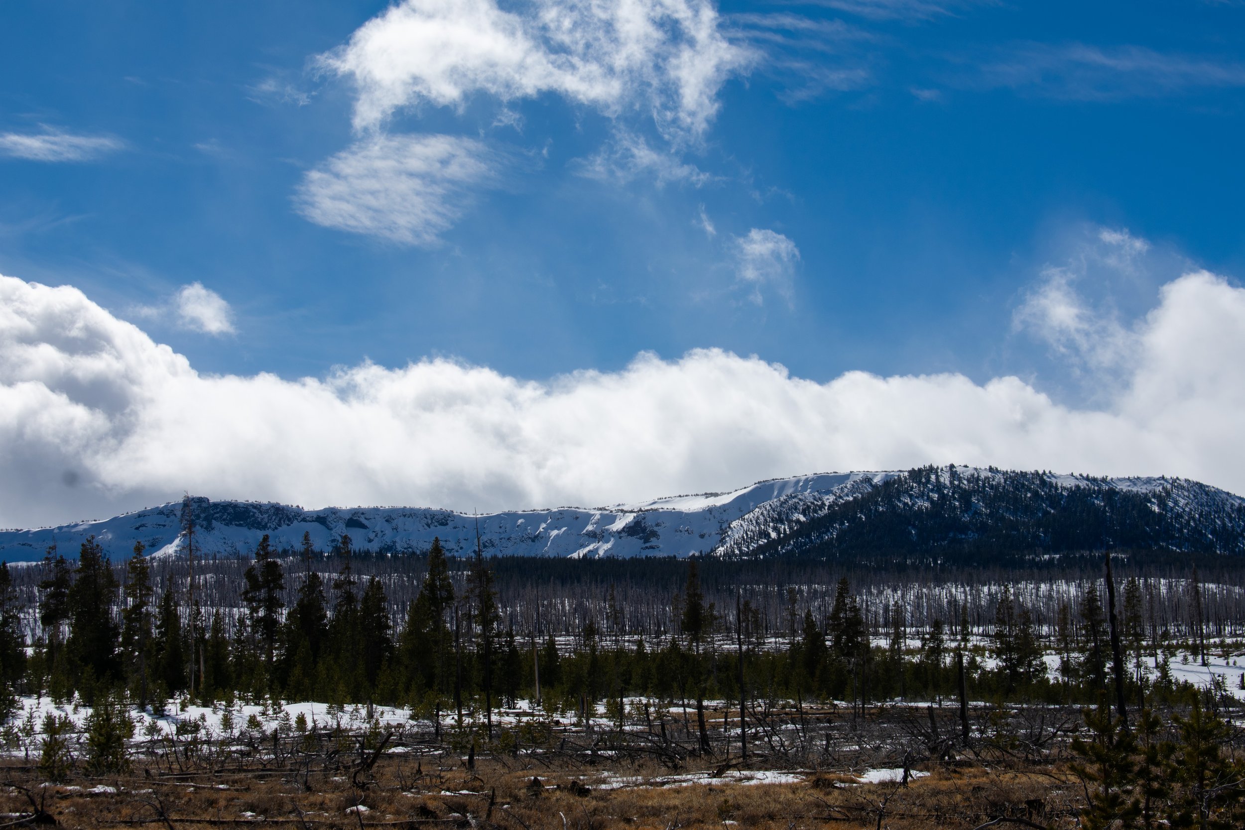 DSC_0151.jpg