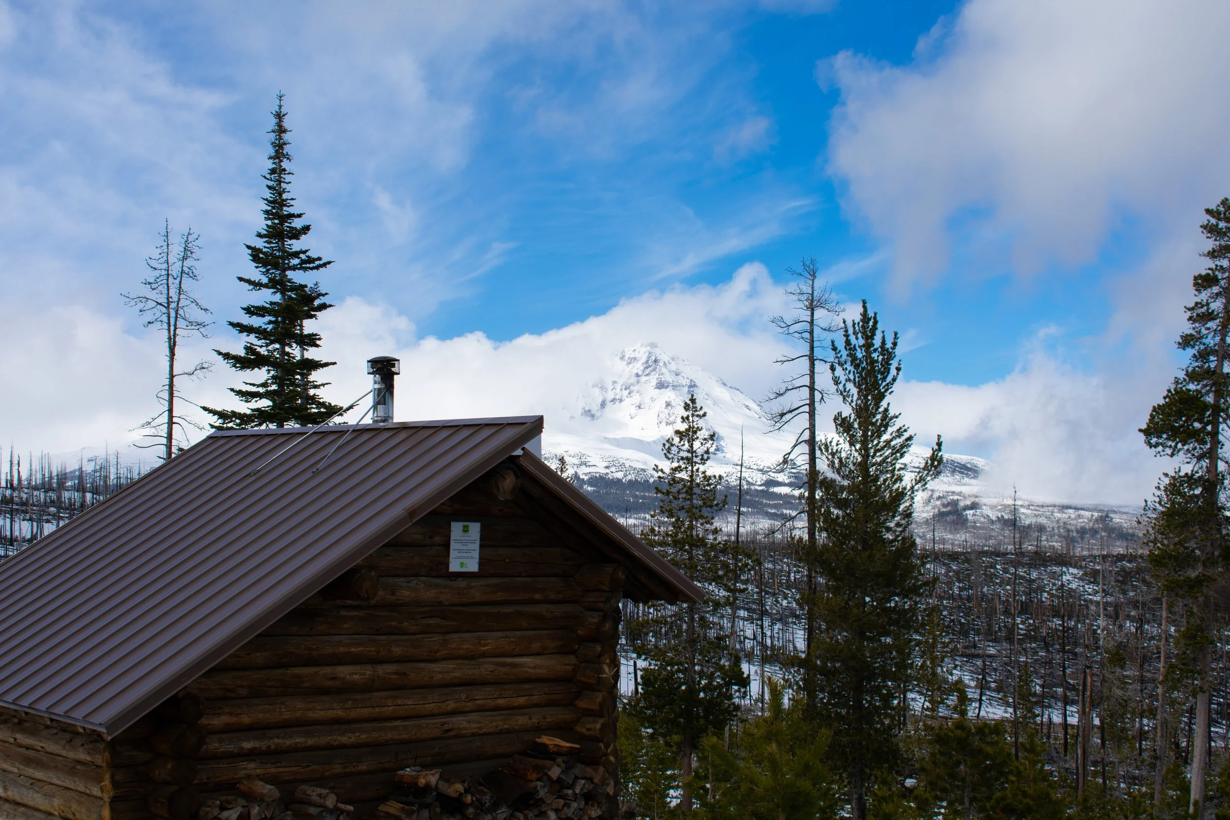 DSC_0124.jpg