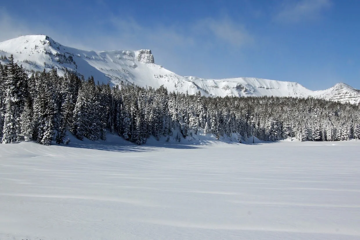 Landscape1.jpg