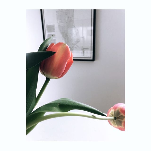 HAPPY FRIDAY! 🧡
En dissad lök i trädgården blev en beauty inne... Ta hand om varandra i helgen! ————————————————————————
#fridayflower