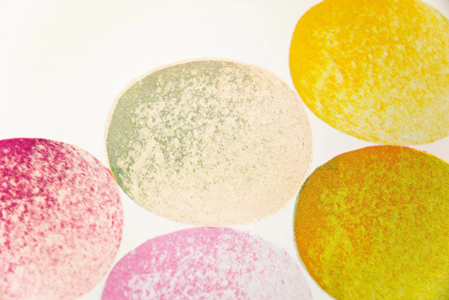 FLUDD_gelatology_mm_8.jpg