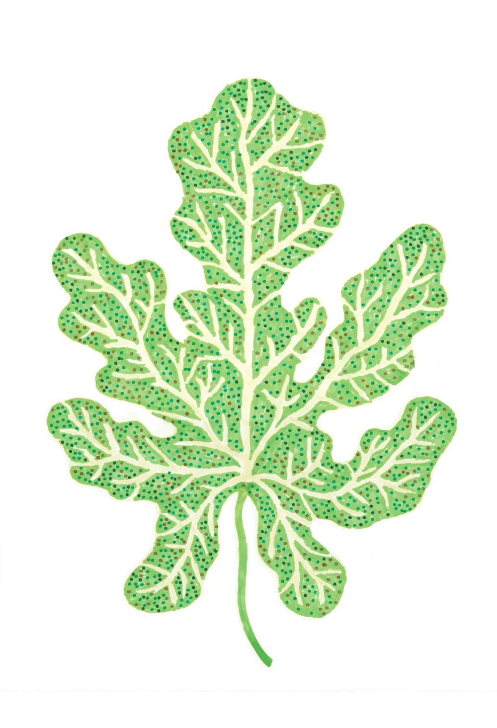 T6_foglia_macro_2.jpg