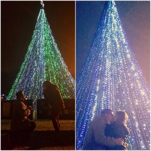  A mid-tour proposal on our Christmas Lights & Desserts Tour 