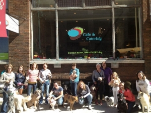  Bone Appetit Dog Friendly Food Tour hosted during National Dog Week. 
