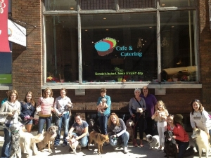 Bone Appetit Dog Friendly Food Tour hosted during National Dog Week.