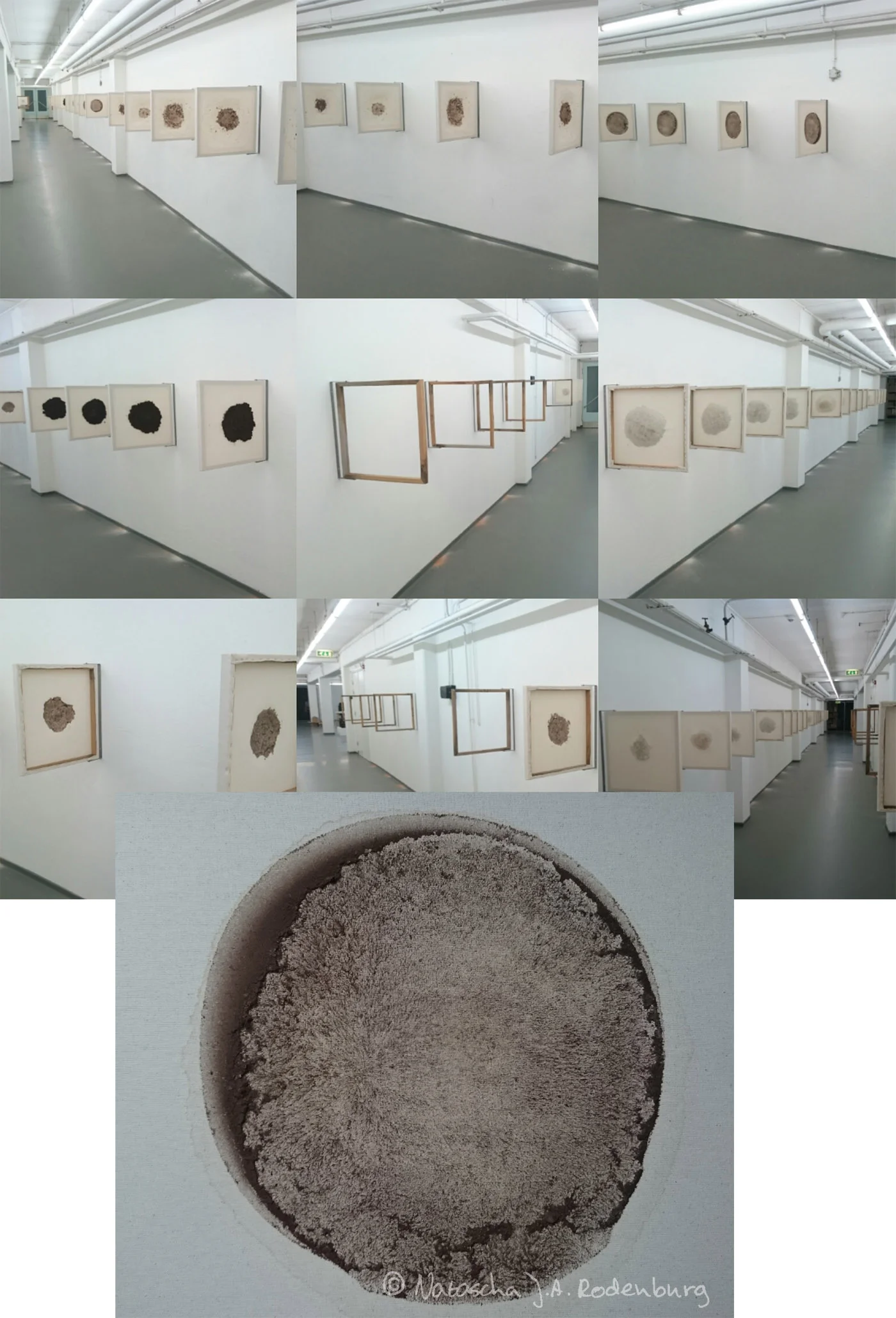 Natascha J.A. Rodenburg, Earthimprints.jpg