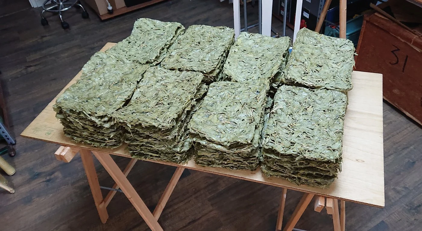 Natascha J. A. Rodenburg, Bambooblad