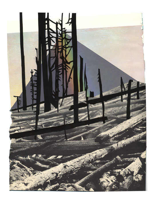 American Heritage #5, 2012, Gouache and collage on paper, 11 x 8 1/2 inches