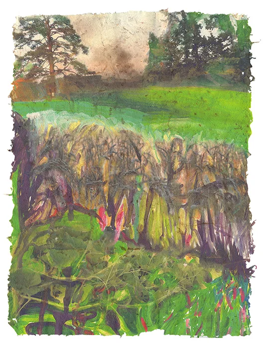 Back Fields, 2015, Digital print on homegrown and homemade cotton paper, 18 x 24 inches