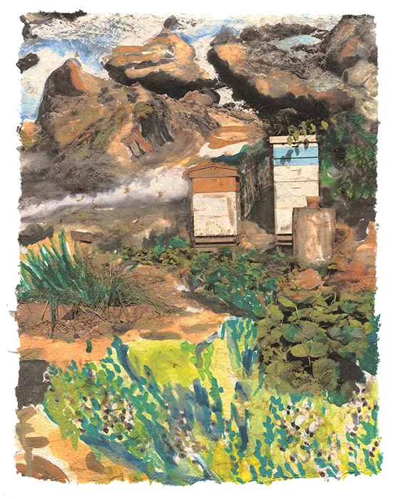 Bees & Thyme, 2015, Digital print on homegrown and homemade cotton paper, 18 x 24 inches