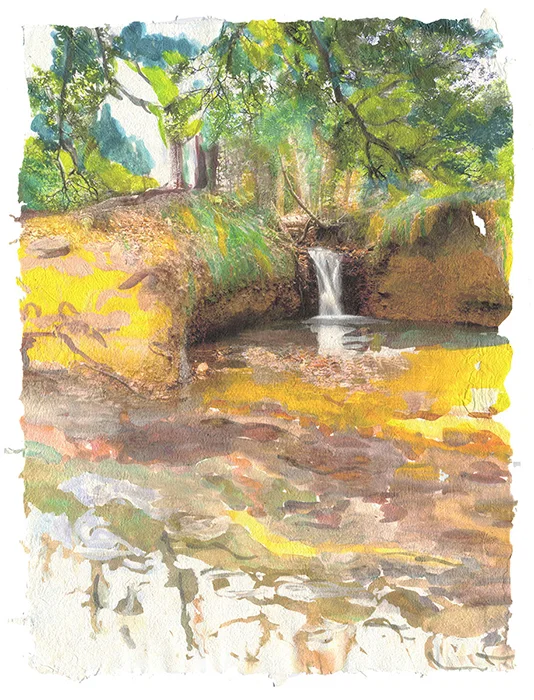 Forest Waterfall, 2015, Digital print on homegrown and homemade cotton paper, 18 x 24 inches