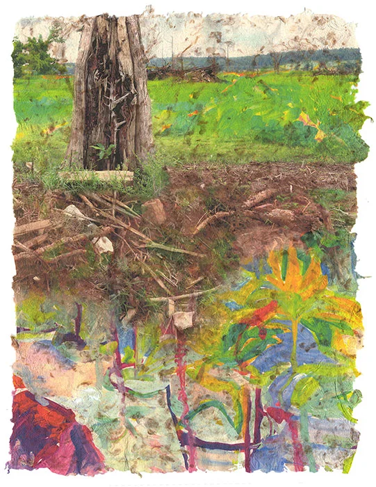 He Fell Here, 2015, Digital print on homegrown and homemade cotton paper, 18 x 24 inches