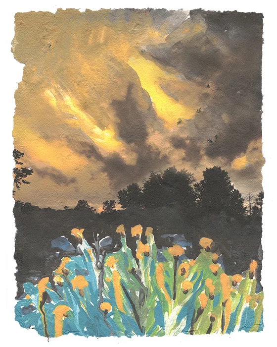Gold Sky, 2015, Digital print on homegrown and homemade cotton paper, 18 x 24 inches