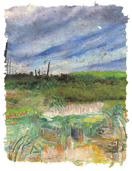 Dusk After the Tornado, 2015, Digital print on homegrown and homemade cotton paper, 18 x 24 inches