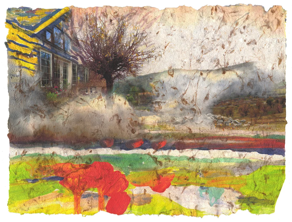 Destruction Happens Quickly, 2016, Pigment print on homegrown and homemade cotton paper, 18 x 24 inches