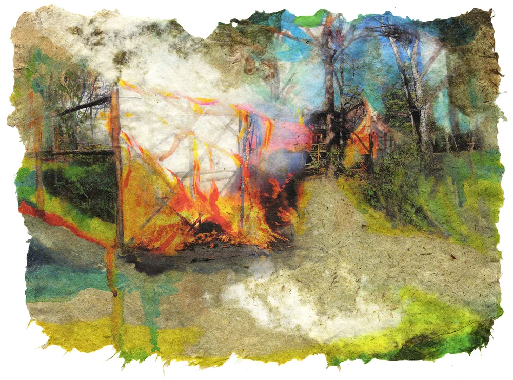 Garden Fire, 2017, Pigment print on handmade paper (cotton, daylily, hosta, bamboo and yucca), 16 x 22 inches