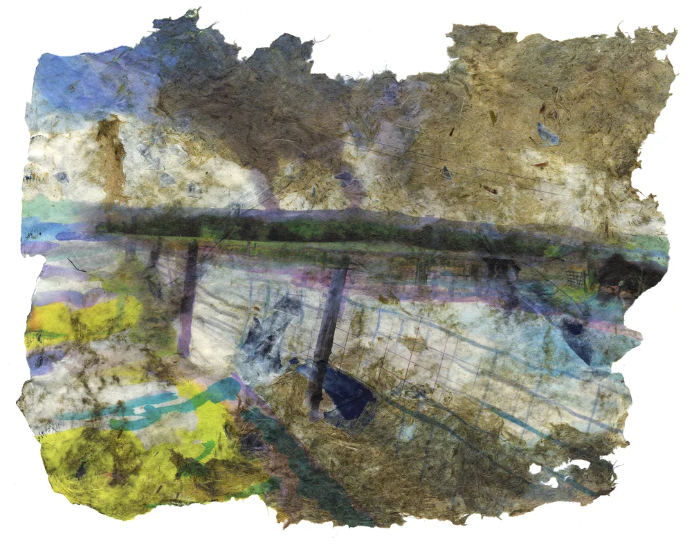 The Way We Came, 2017, Pigment print on handmade paper (cotton, daylily, bamboo, hosta, yucca, and indigo dyed cloth), 15 x 20 inches
