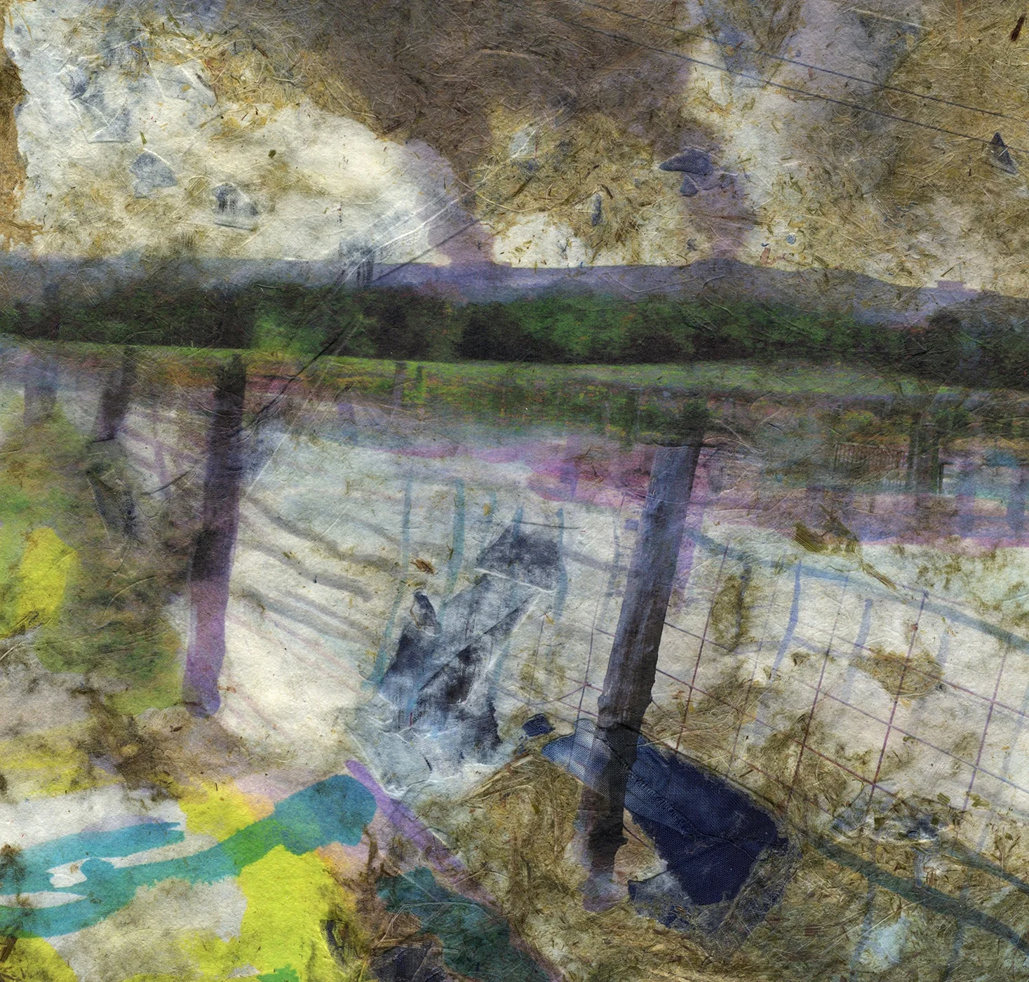 The Way We Came (detail), 2017, Pigment print on handmade paper (cotton, daylily, bamboo, hosta, yucca, and indigo dyed cloth), 15 x 20 inches