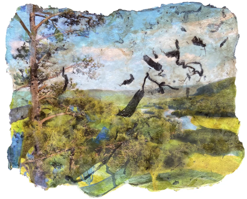 The Mapmakers View