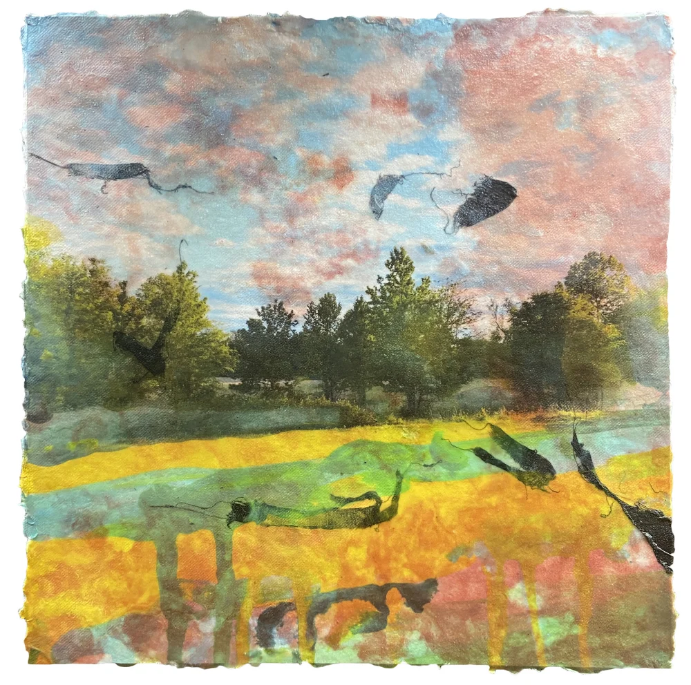 After the Dragonflies