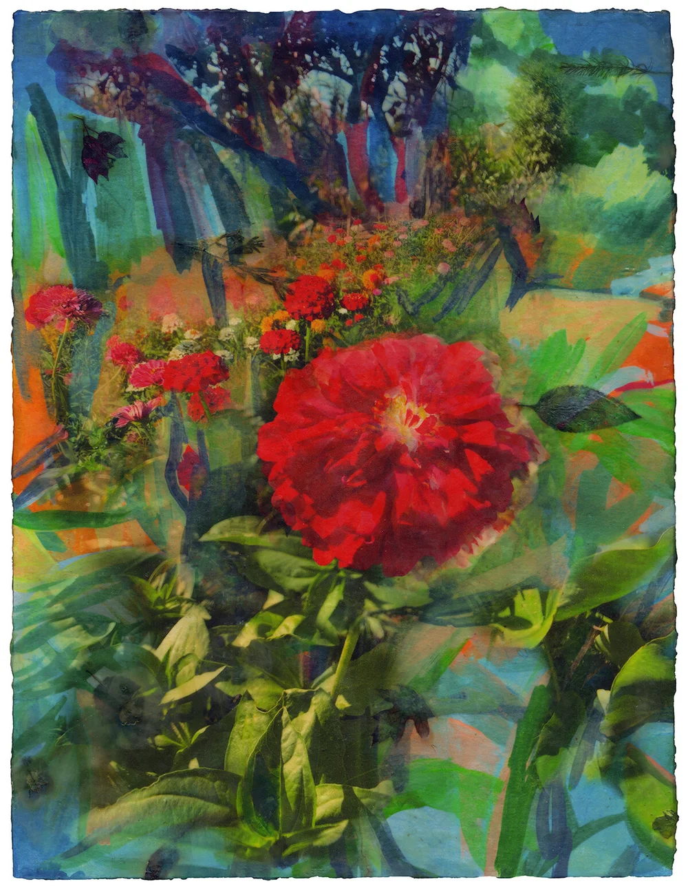 Remembering Summer