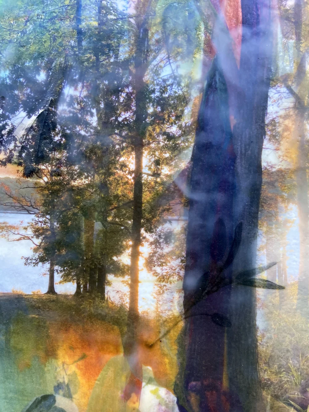 Artwork from Fire-Flowers