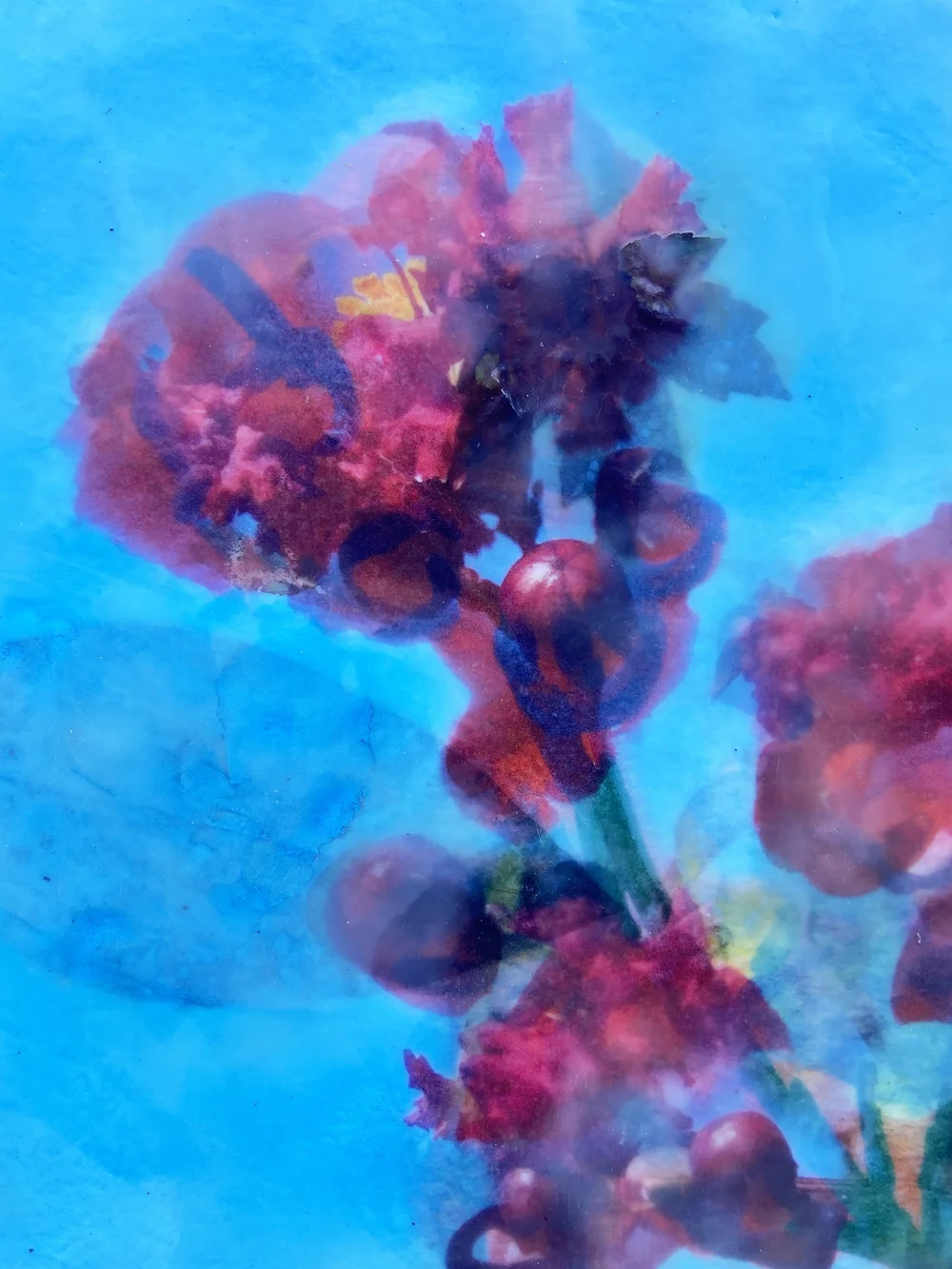 Artwork from Fire-Flowers